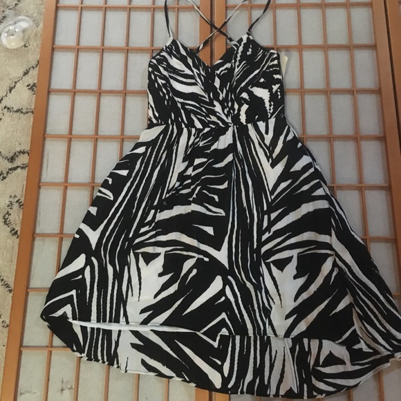 shoshanna paladina high low dress